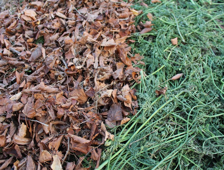 Biologisch Gärtnern / Biologisch gärtnern einwintern gewusst wie